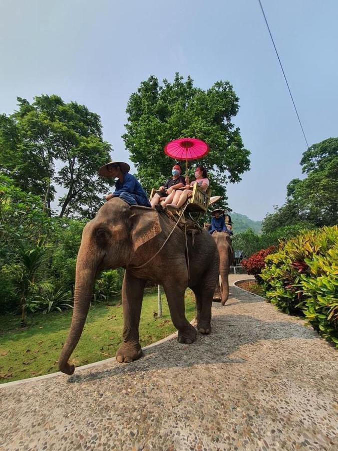 Luxury Camp@Green Jungle Park Vila Luang Prabang Exterior foto