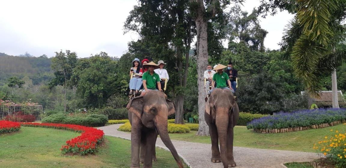 Luxury Camp@Green Jungle Park Vila Luang Prabang Exterior foto