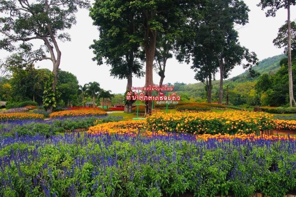 Luxury Camp@Green Jungle Park Vila Luang Prabang Exterior foto