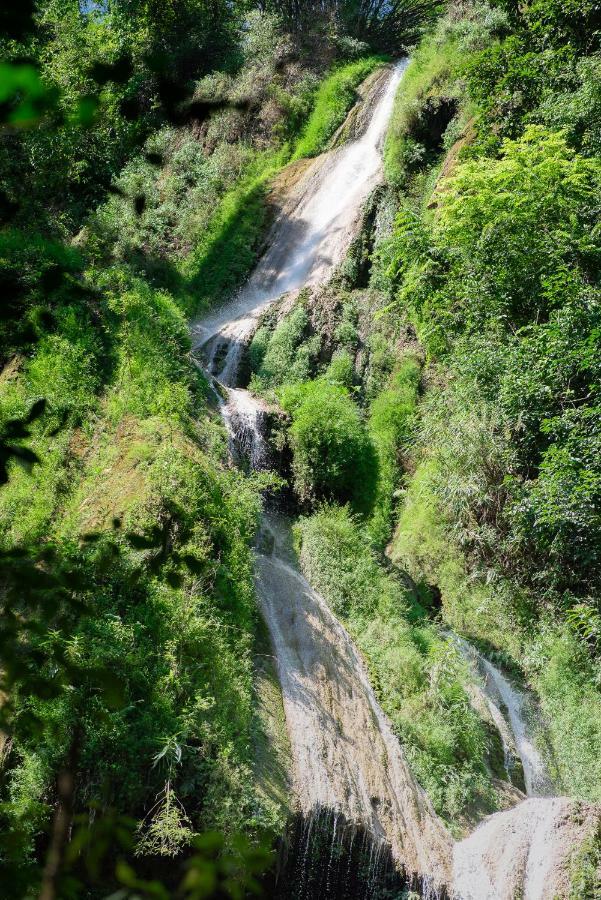 Luxury Camp@Green Jungle Park Vila Luang Prabang Exterior foto